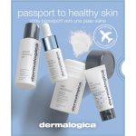 Dermalogica Passport To Healthy Skin 50ml + 15ml + 10ml + 13g
